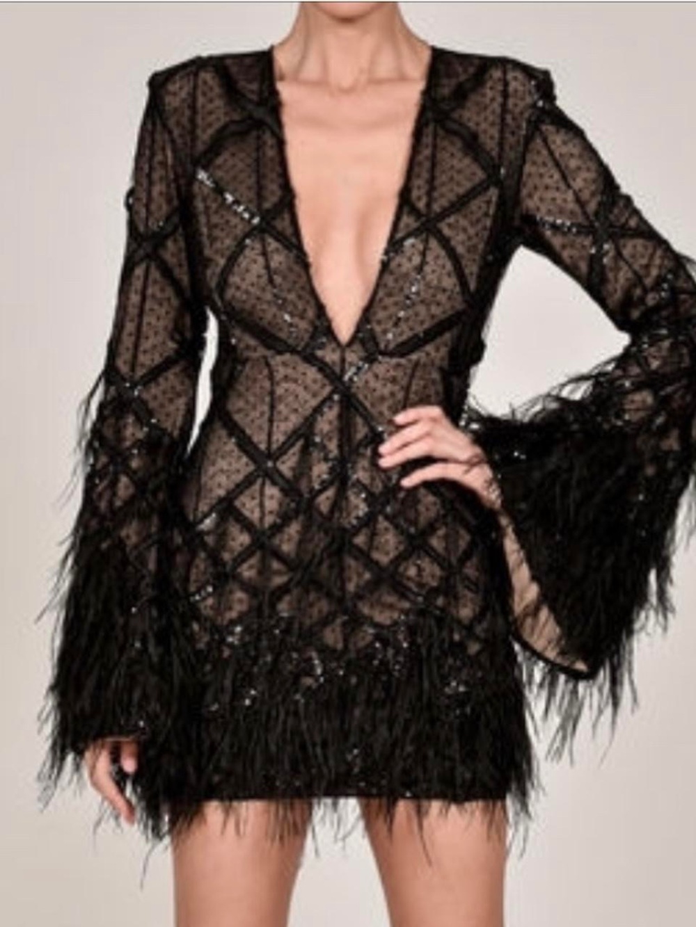“The Penelope Dress” Embellished Black Sheer Mini Dress with Feather Trim